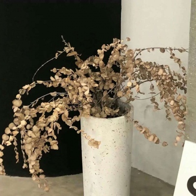 兽设黎明场景绘制FurryQQ群